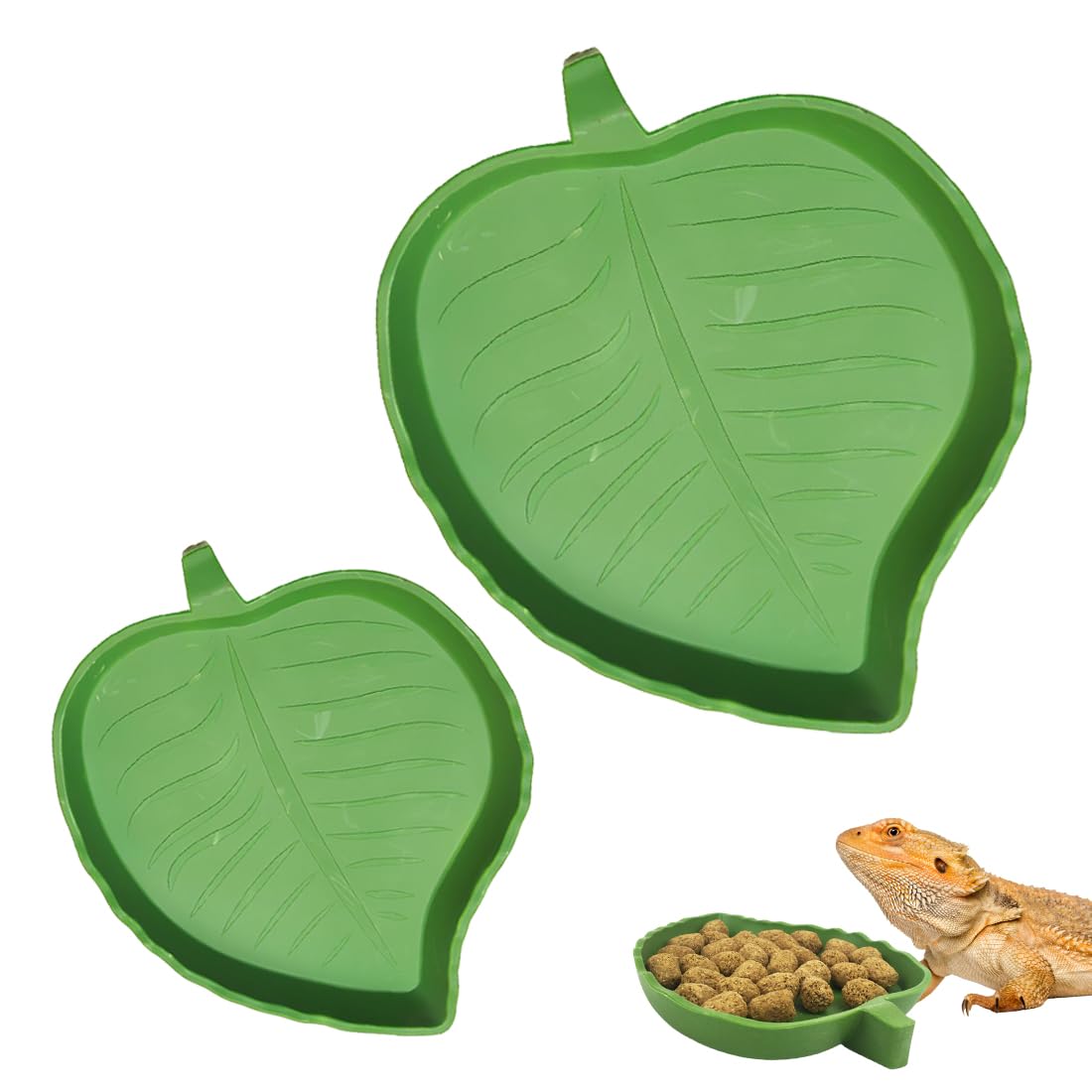 Terrario Tortugas Tierra 2 Piezas, Cuencos Agua Y Comida Para Reptiles Verde Forma Mango, Comederos Tamaño Grande Y Pequeño