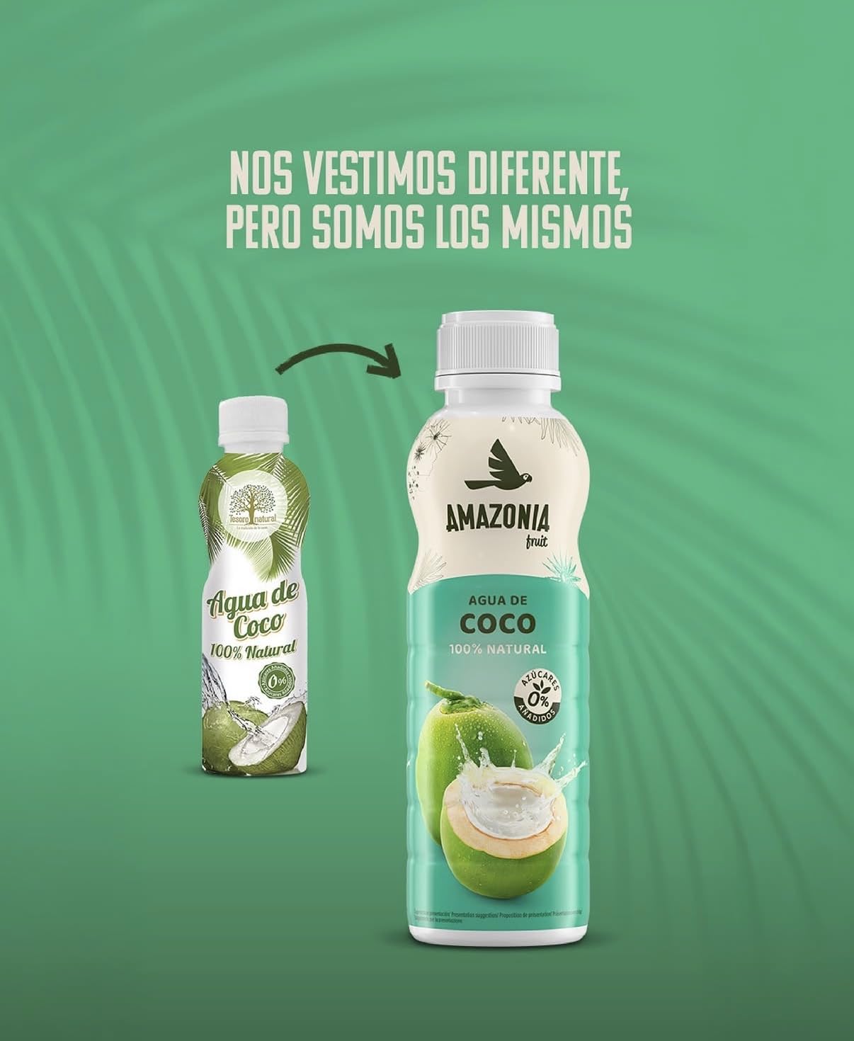 Tesoro Natural Agua de Coco 100% Natural, 12 Latas, 500 ml