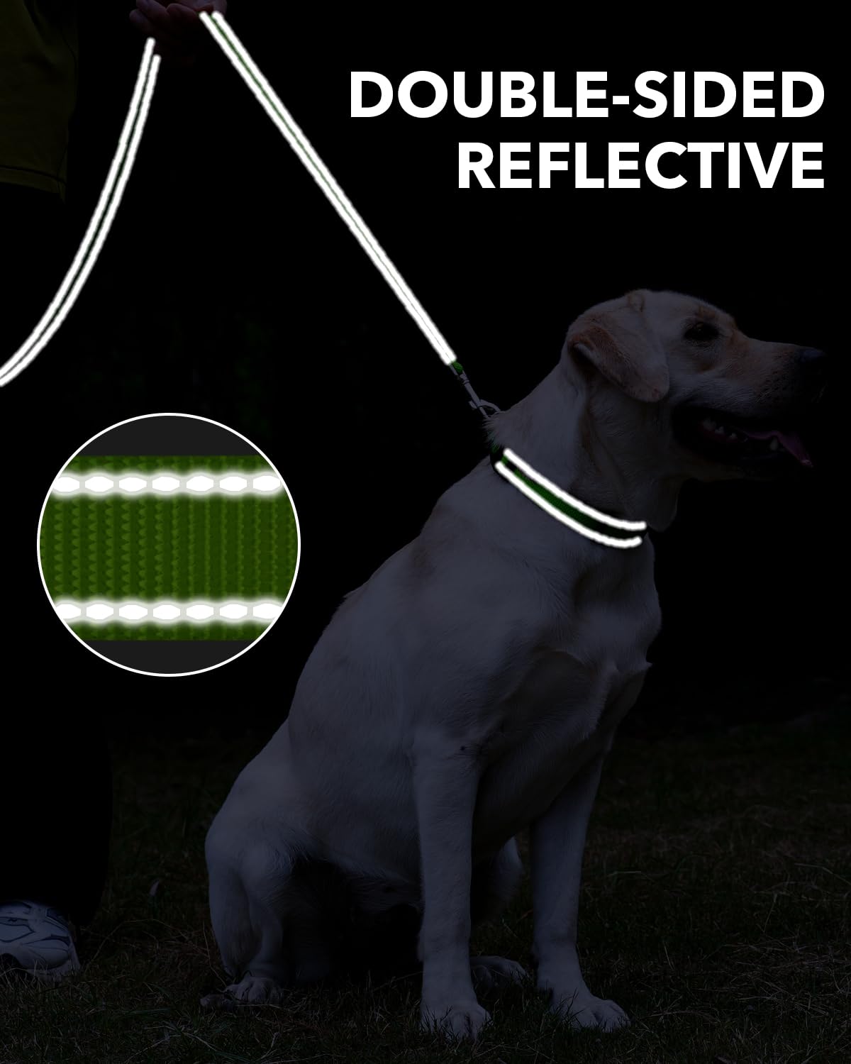 Taglory Guinzaglio per Cani Riflettente con Manico Imbottito e Gancio in Metallo, Nylon Resistente Addestramento Cane Guinzaglio, 1.8 m x 2.0 cm, Verde