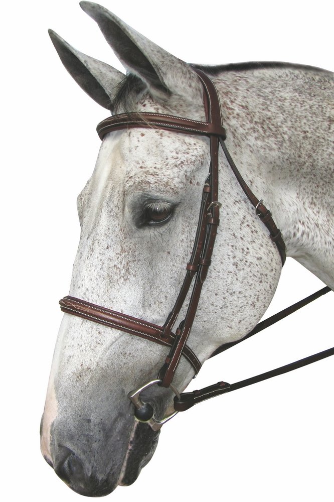Henri de Rivel Pro Mono Crown Fancy Stitched Padded Bridle