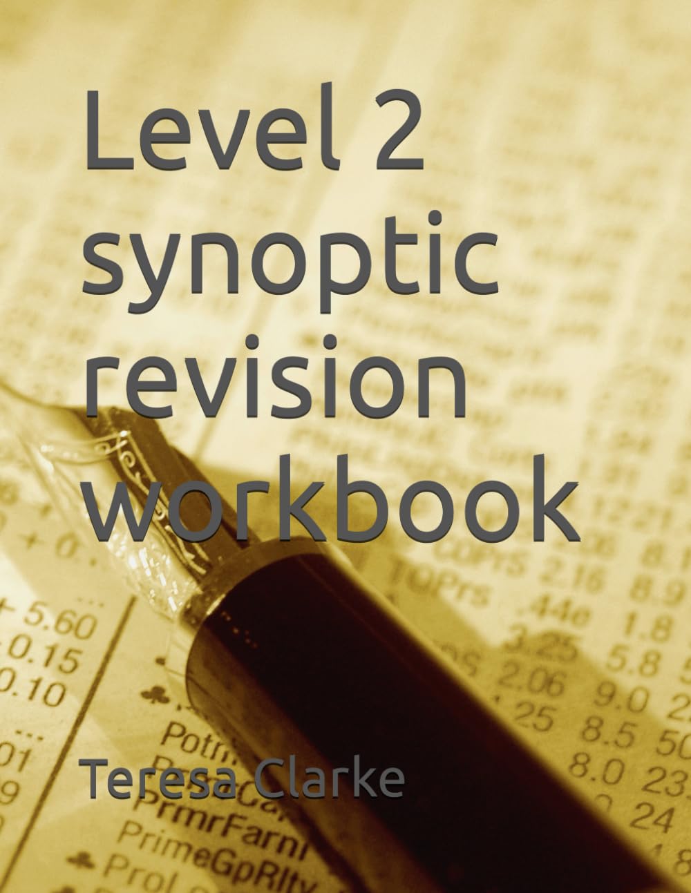 Level 2 synoptic revision workbook (Accountancy Revision Workbooks)