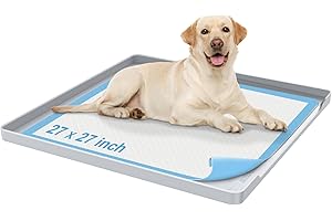 Premium Potty Tray for Medium Dogs