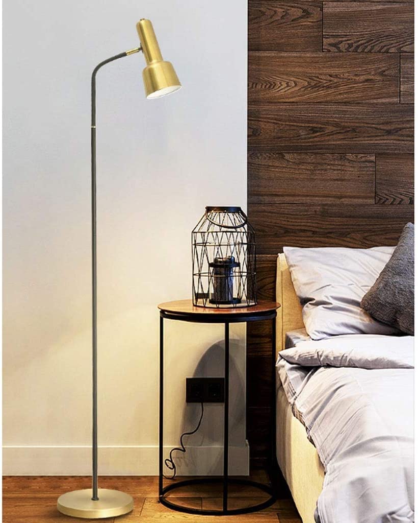 Lampa podłogowa żelazna lampa podłogowa nordycka prosta nowoczesna lampa podłogowa do salonu sypialni lampka nocna do nauki lampa do czytania dekoracja domu