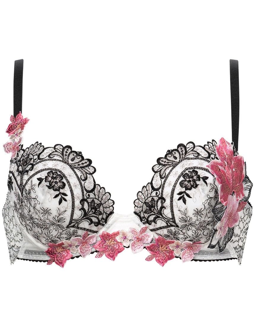 Amazon.co.jp: [ワコール] サルート salute 13グループ 13G P-UP