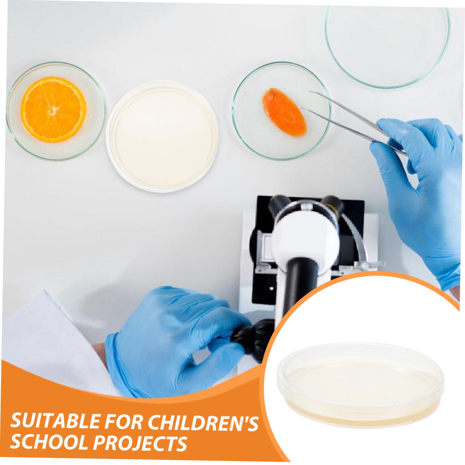 MAGICLULU Piastre di Petri Agar Nutriente Preversate 20 Pezzi Piatto Rotondo in Ps per Esperimenti Scientifici e Coltivazione Microbica in Laboratorio