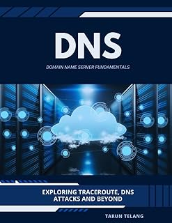 Domain Name Server (DNS) Fundamentals: Exploring Traceroute, DNS Attacks and Beyond