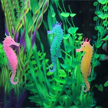 Galapara 3 Stuck Schimmerndes Seepferdchen Aquarium Deko Gluhende Kunstliche Seepferdchen Fur Aquarium Dekoration Unterwasserlandschaft Leuchteffekt Seepferdchen Amazon De Kuche Haushalt