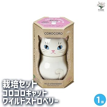 ワイルド ストロベリー ホワイト セット ワイルド ストロベリー ホワイト|WEDGWOOD公式オンラインストア