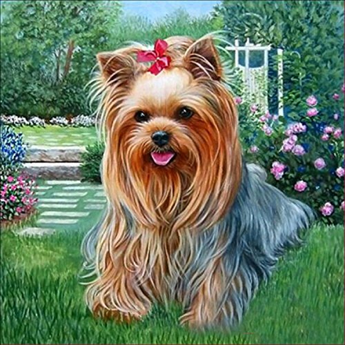 AIRDEA DIY 5D Diamond Painting by Number Kit, Cute Dog Crystal Rhinestone Embroidery Cross Stitch Arts Craft Supply Canvas Wall Decor