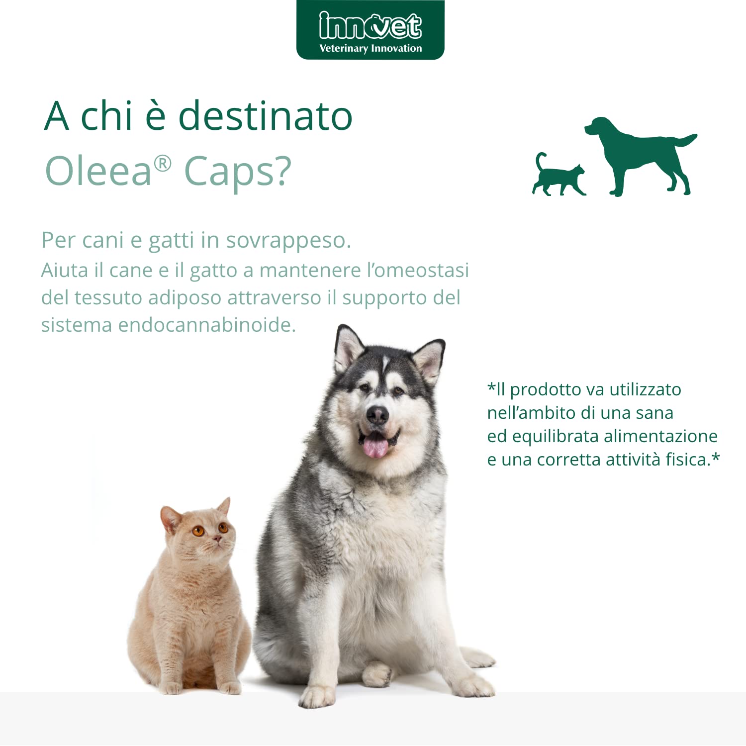 Innovet Oleea - Formulation liquide, 60 ml - pour la santé du chien et du chat en surpoids ou obèse - Protège contre les dommages liés à l'excès de graisse corporelle