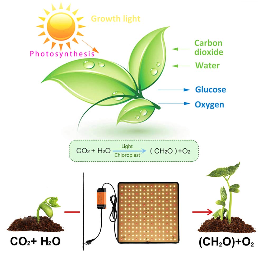 1000W Lampe LED Horticole Croissance Floraison 225 LEDs Grow Light Panneau LED Culture Indoor Spectre Complet Lampe Croissance Plante avec Crochet de Suspension pour Plante Croissance d'intérieur (01)