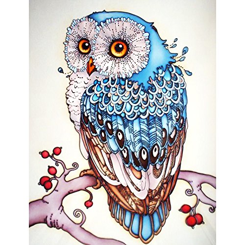 Vitasemcepli Peinture Diamants Kit Strass de Particules de Résine Rondes Diamond Painting Kit Peinture Diamant pieno-il Collage sur Toile pour DIY/Décoration pour Murs/Relaxant et Amusant Cover