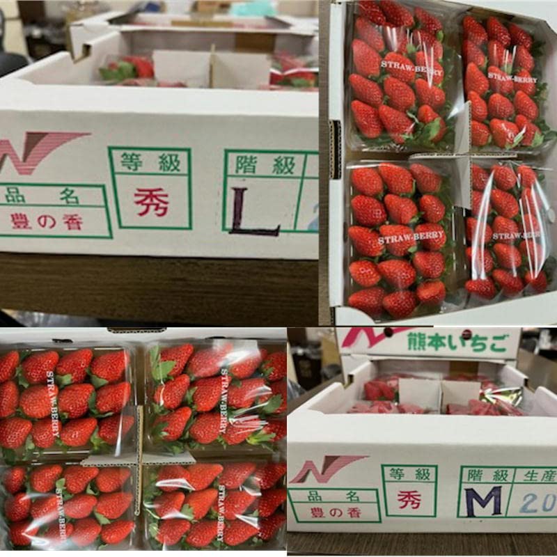 いちご　4パック　熊本産　300g×20パック Amazon.co.jp: いちご とよのか 豊の香 1パック300g以上×4パック 熊本