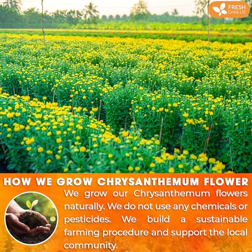 Image of FreshDrinkUS, Premium 5oz Chrysanthemum Flowers, 100% Natural & Pure Chrysanthemum Flower Dried, Chrysanthemum Herbal Tea, No Additives, No Caffeine, Vegan