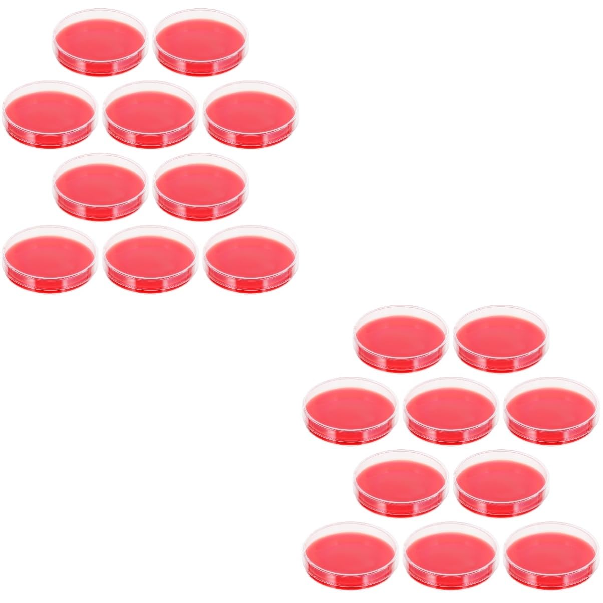 HOMOCONO 2sets Agar Plates Equipment Agar Petri Dishes Growth Medium Science Project Supplies 10pcs*2