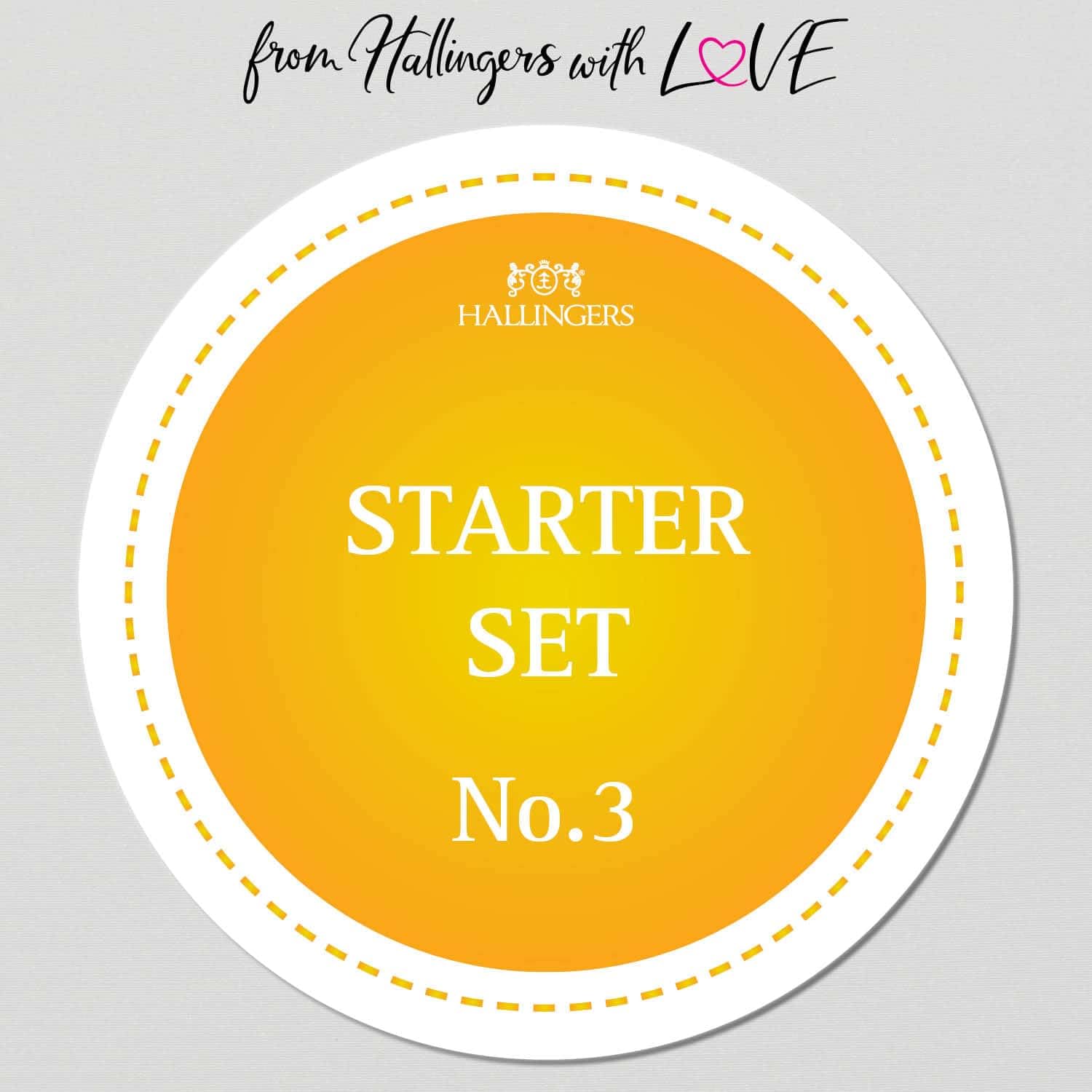 Hallingers Genuss Manufaktur Gewürz Geschenk-Set - Selektion unserer Besteller als Probierset in edlen Aromadosen & Tragetasche "Starter Set No. 3", Geschenkidee für Frauen Männer