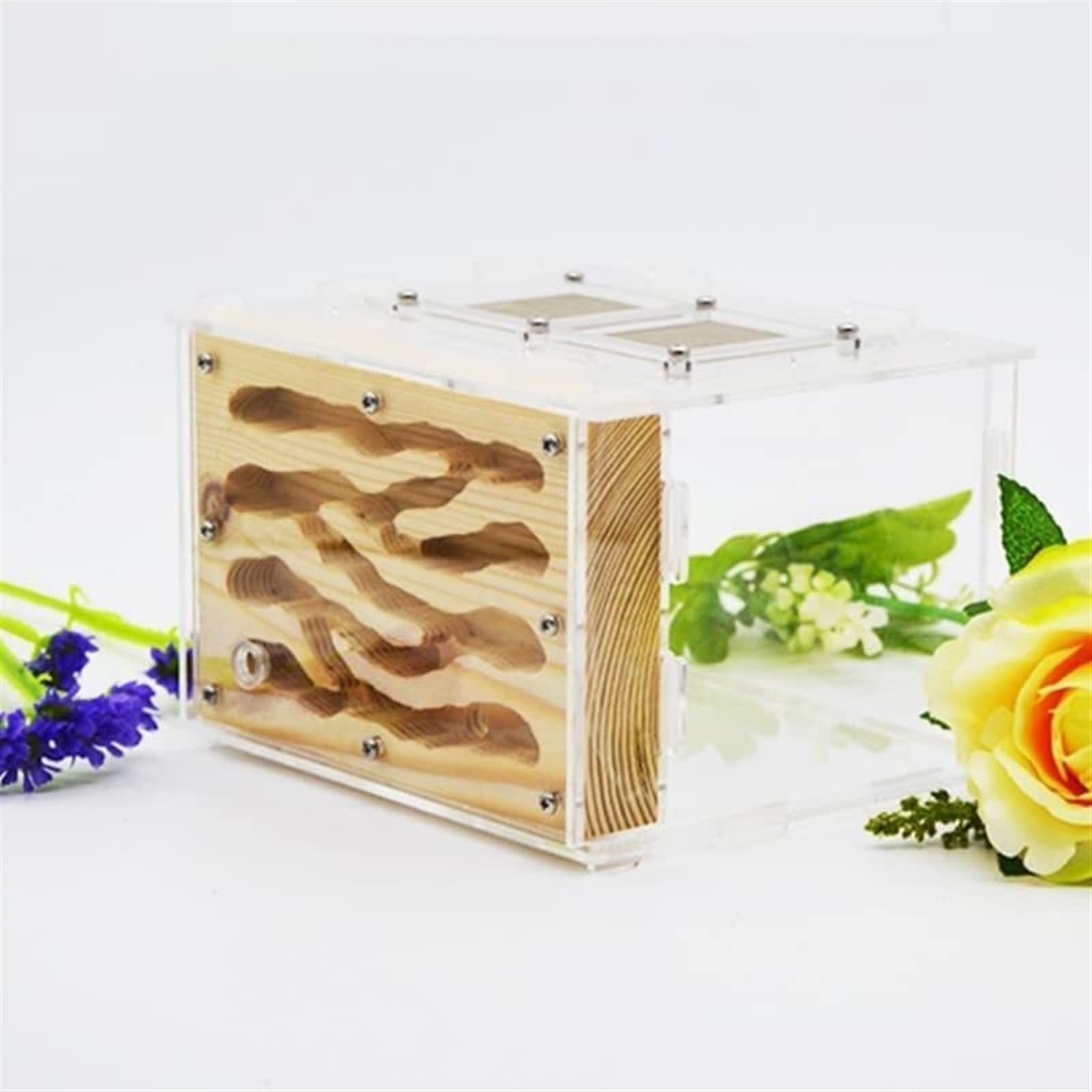 Hormiguero Granja De Hormigas Castillo De Hormigas Creativo, Granja De Hormigas De Madera Acrílica Ecológica De Bricolaje Con Área De Alimentación, Castillo De Hormigas, Nido De Hormigas Hormiguero Pa