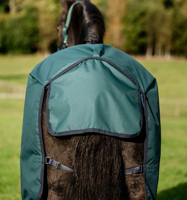 Horseware Amigo Ripstop 900D 50g Turnout Weide Decke Dynasty Green/Navy & Silver
