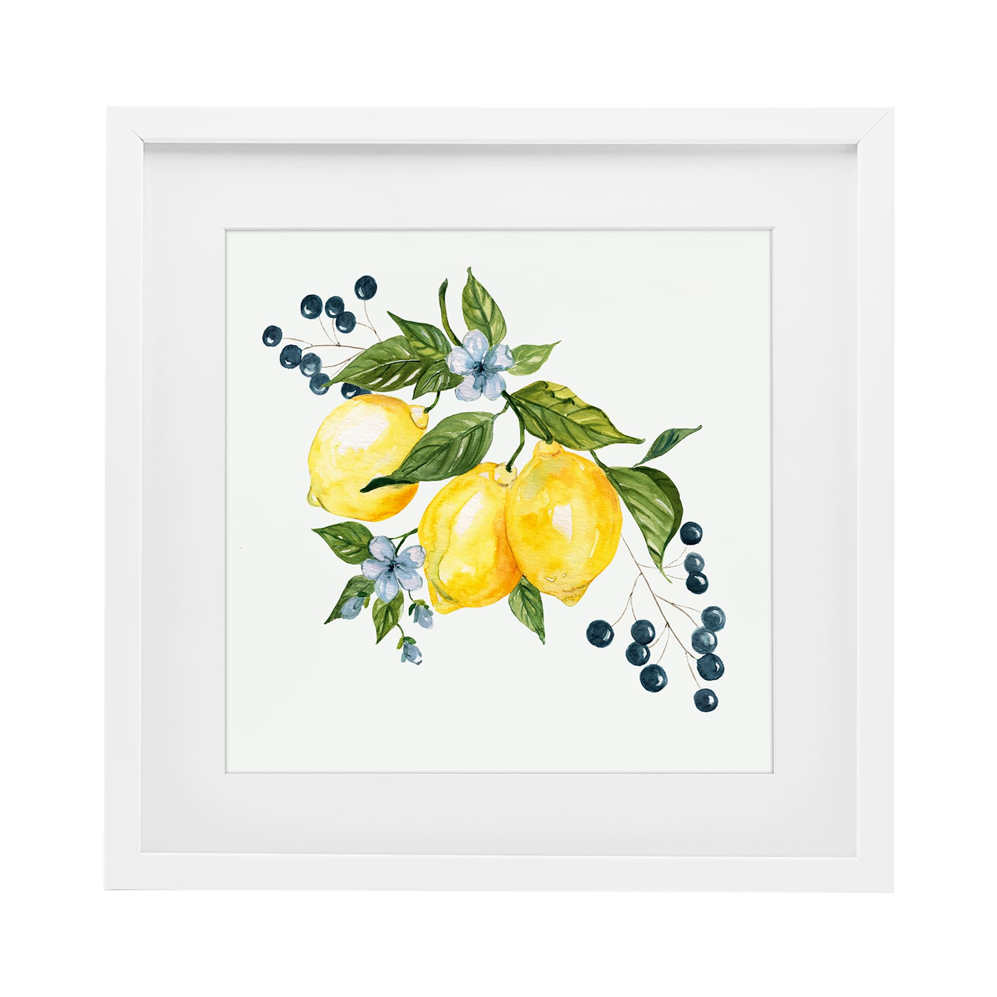 Stupell Industries Coastal White (Textured) Lemons Blossoms Berries Botanical, 16 X 16 Inch Framed Print Under Glass