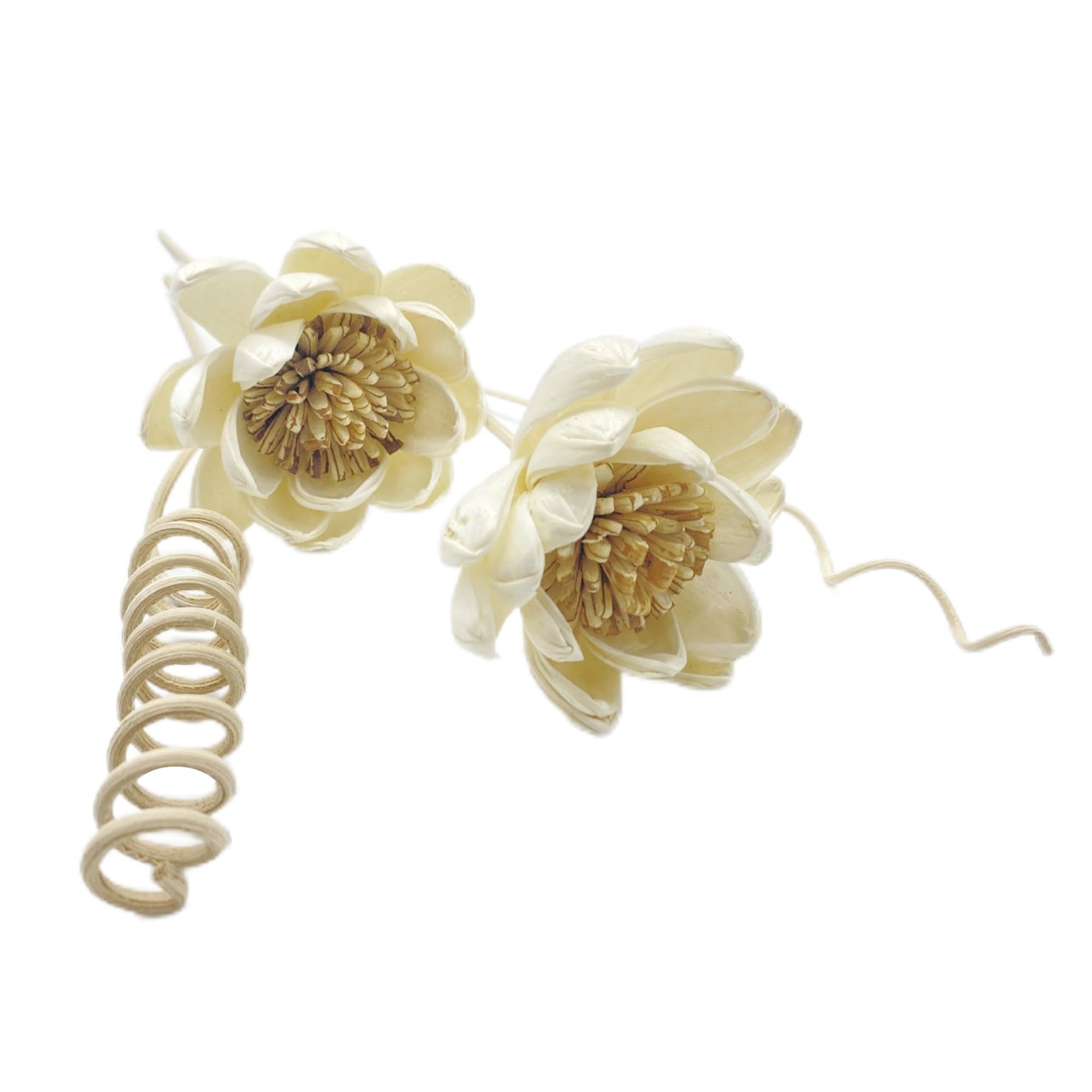 SKYPRO Artificial Flower Rattan Sticks Set Fireless Fragrances Reed Diffuser Stick Essential Oil Aroma Diffuser Sticks Diy Ornaments Home Decor - Style 7
