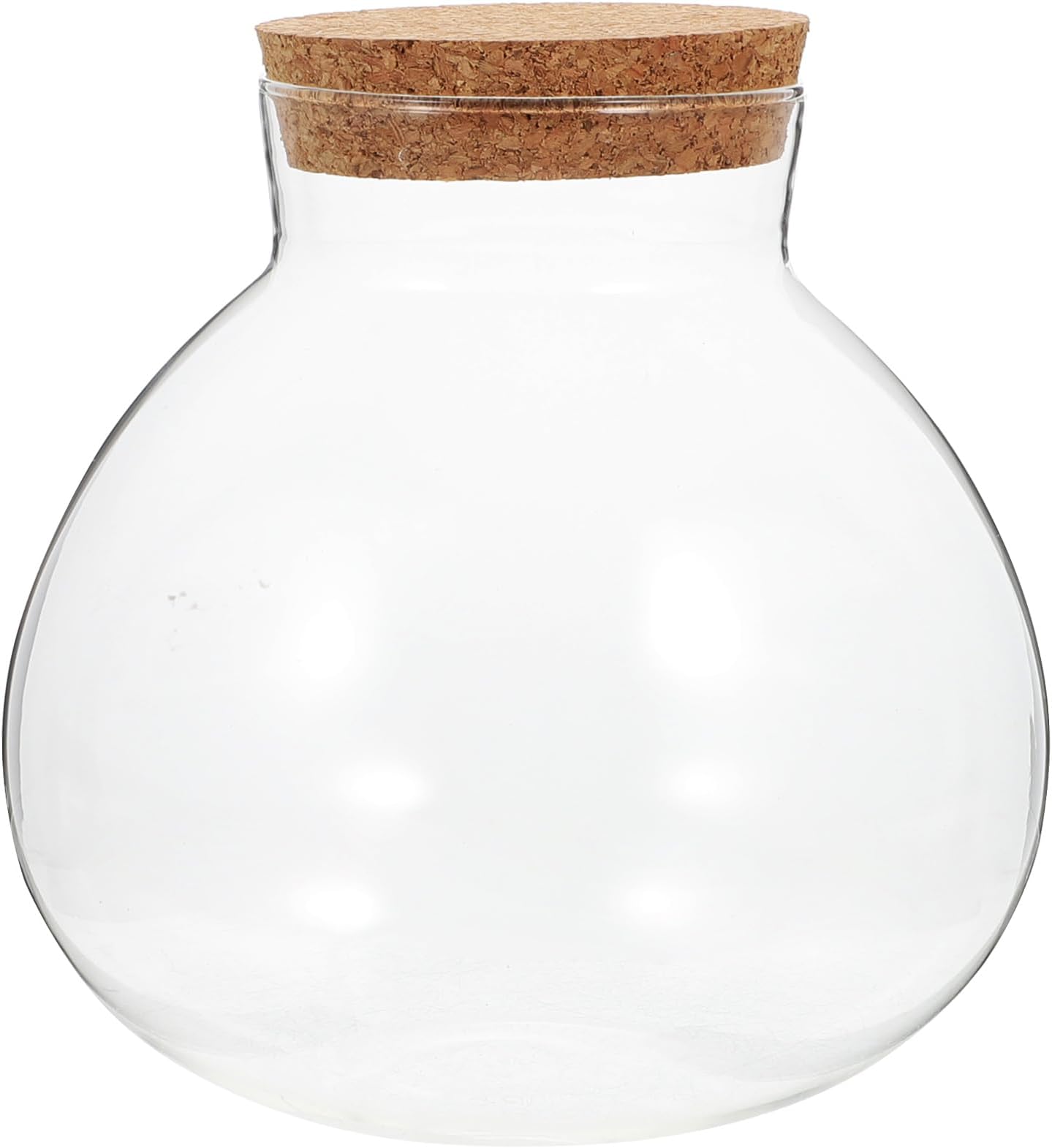 Glass Bottle Hydroponic Terrarium Container - Round Succulent Vase With Lid for Air Plants