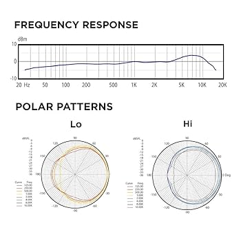 Amazon.co.jp: AUDIX (オーディックス) 会議収音 演台での講演