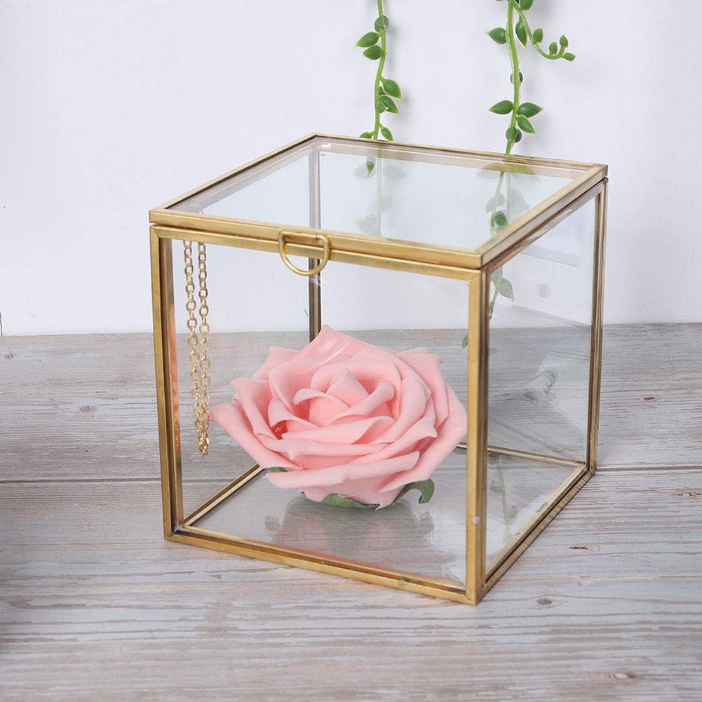 Mini Glas Geometrische Terrarium ContainerModerne Tischplatte Pflanzer Fensterbank Regale DIY Display Box Herzstück für Sukkulente Luft Pflanze Miniatur Feengarten, Gold