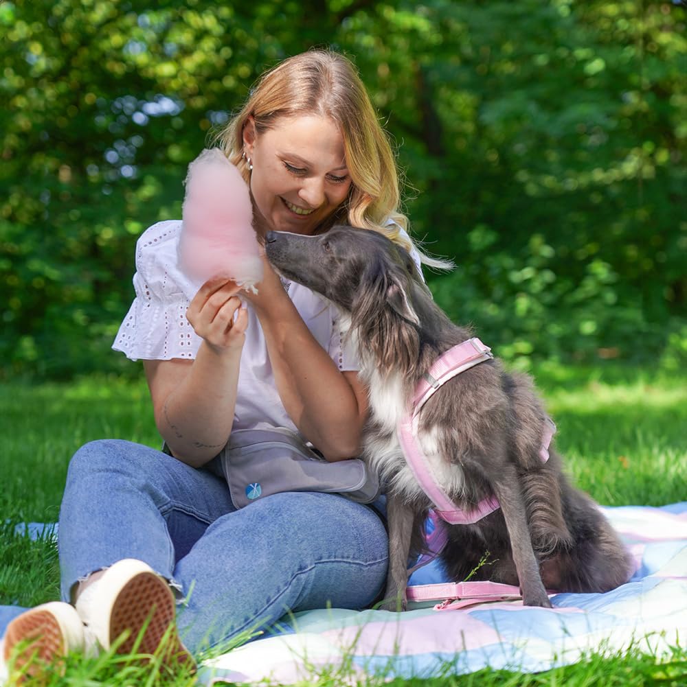 Anny-X Brustgeschirr Fun Zuckerwatte | Hundegeschirr Größe S (Brustumfang 52-64 cm)