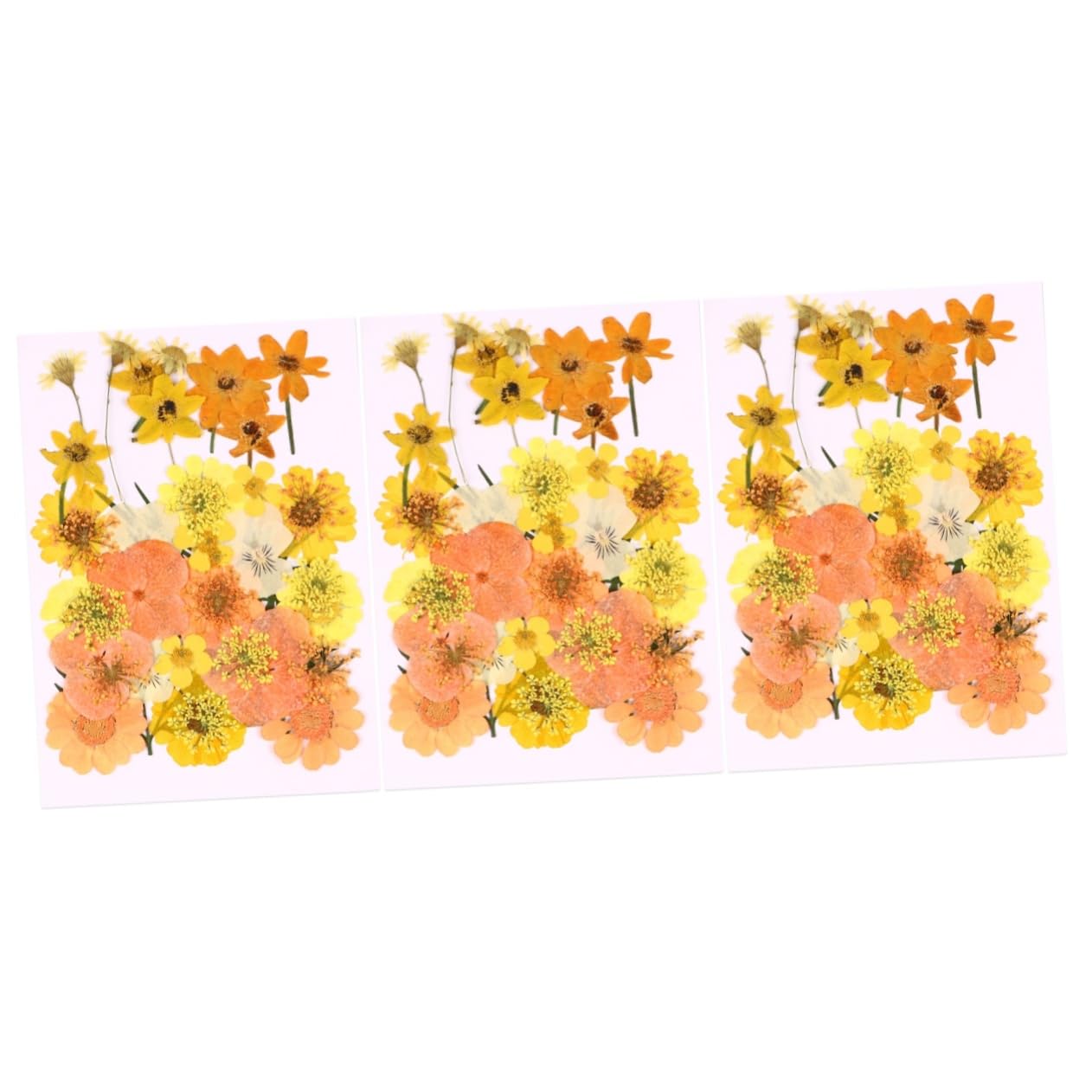Fleurs séchées de qualité supérieure pour scrapbooking et papeterie fine, lot de 120 pièces