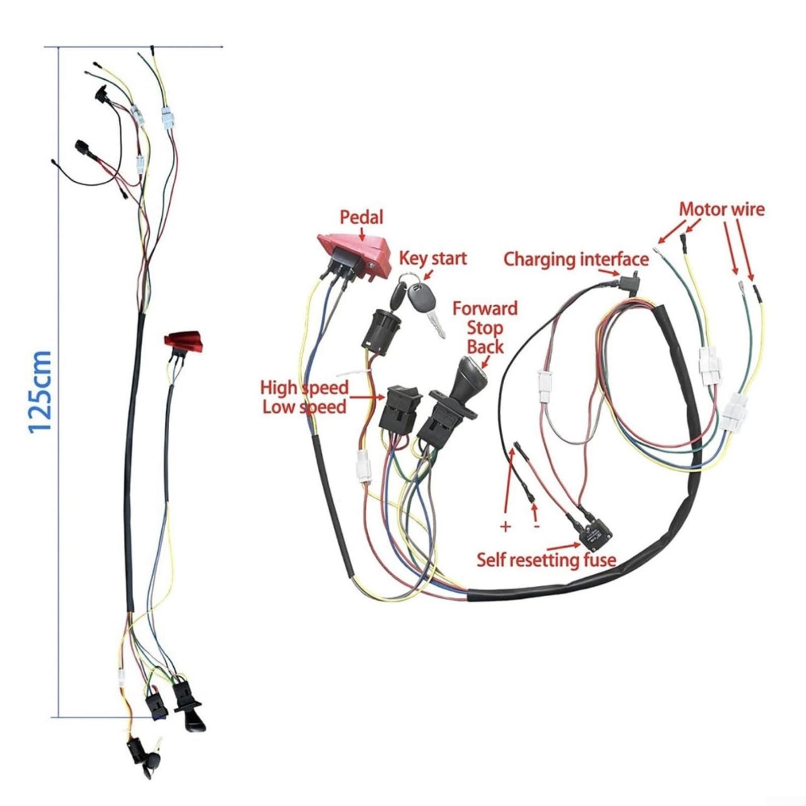 Kompletter Reparatur- Und Bausatz Mit 24V Kabelbaum Für Ferngesteuerte Kinder Elektroautos, Bestehend Aus Diversen Funktionsschaltern Und Zwei RS550 Getriebemotoren, Für Ideal Für Eigenbau, Umbau Oder