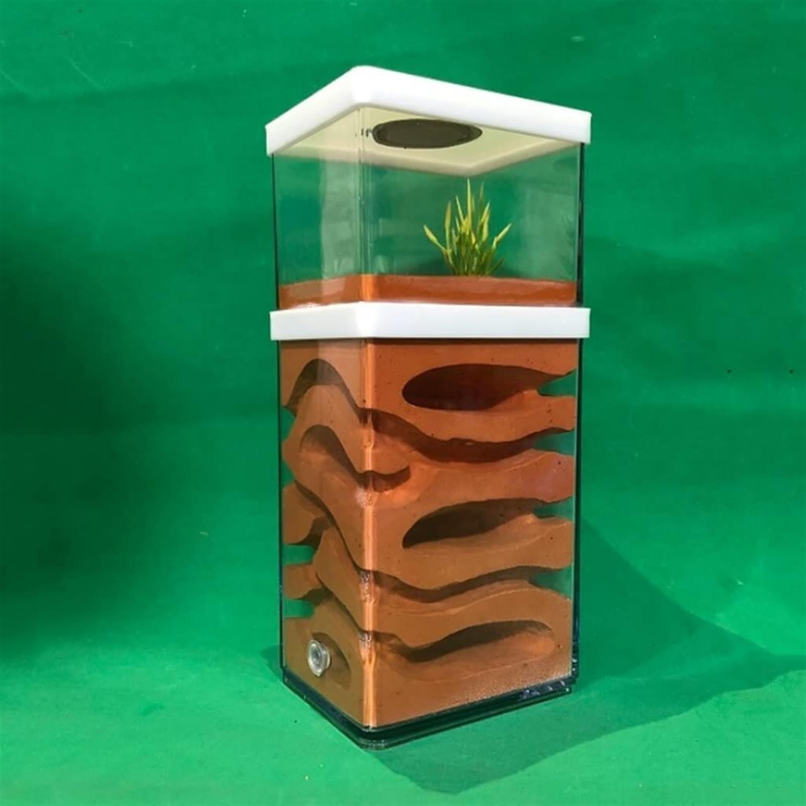 Ameisenfarm Nistkasten, Ant Castle Kunststoff Ant Farm Gips Ant Farm Fütterung Box Geschenk Ant Nest Castle Ameisenhaus