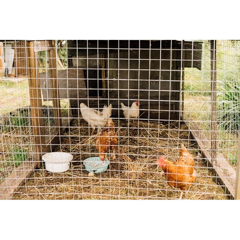 RETELANDIA - Rete ZINCATA Maglia 13X13 mm, h 100 cm x 10 m, Ideale per Voliere, Gabbie Animali e Filtri