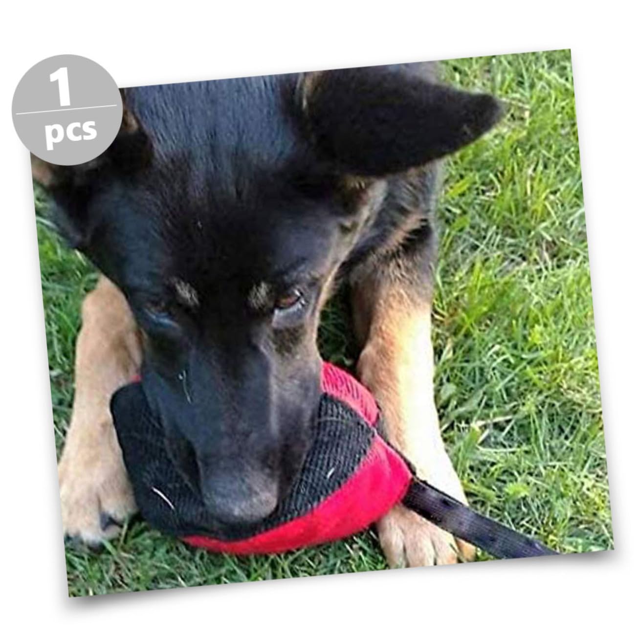 Sosoport 3pezzi Giocattolo Interattivo Per Cani Gioco Da Masticare Per Cuccioli All Aperto Resistente e Indistruttibile Stimola Istinto Naturale Di Per Allenamento e Divertimento