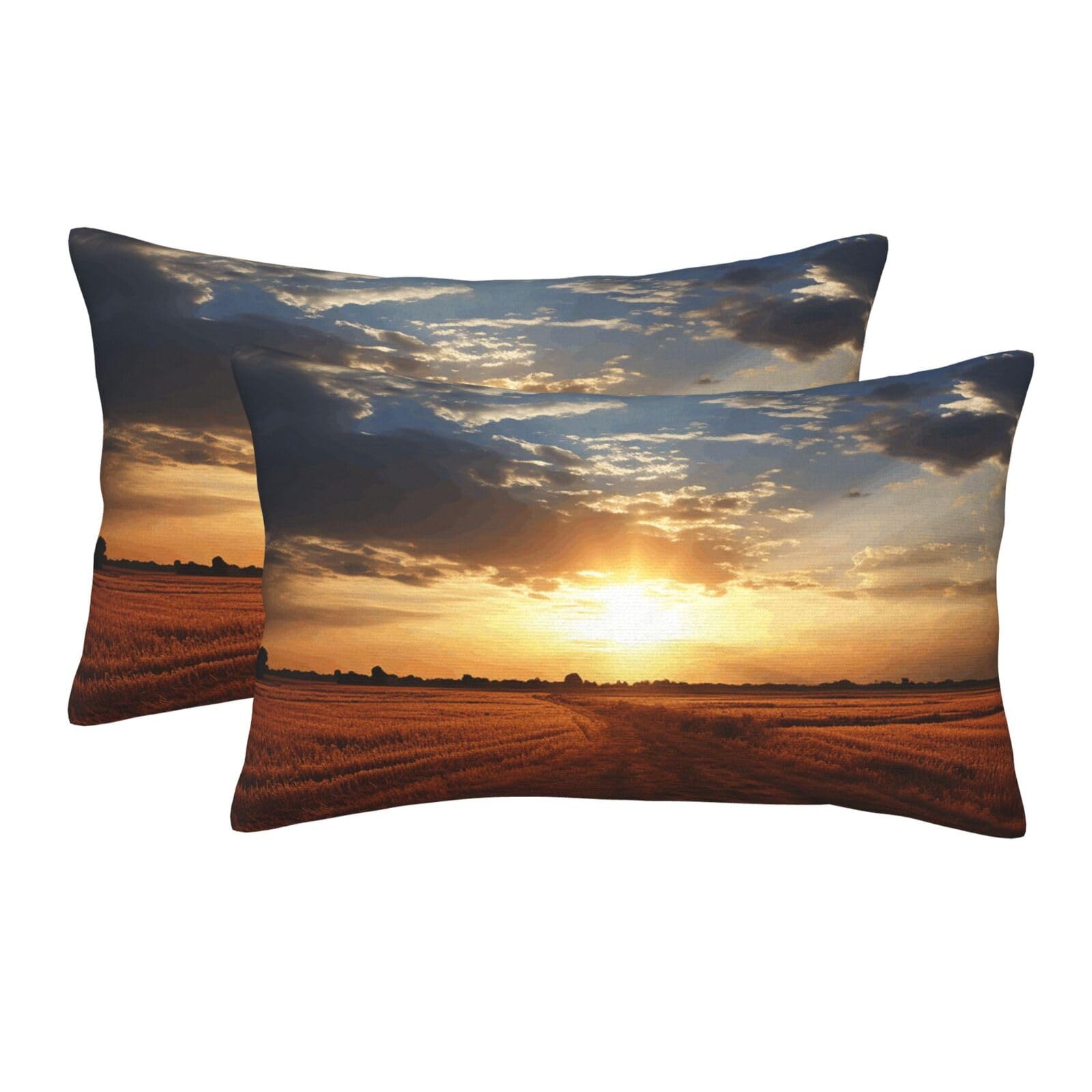 2 Pack Standard Size Pillow Cases for Hair and Skin Soft Breathable Pillow Case Covers with Hidden Zipper Field Sunrise Pillowcase 20"x30" Pillow Cover for Sleeping Gift