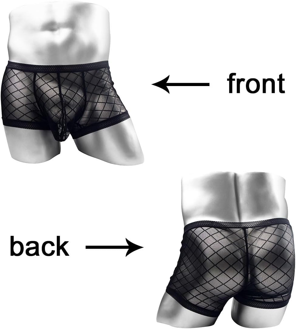 Men's Sexy Mesh Underwear Briefs See Through Sheer Boxer Briefs with Pouch - Image 3
