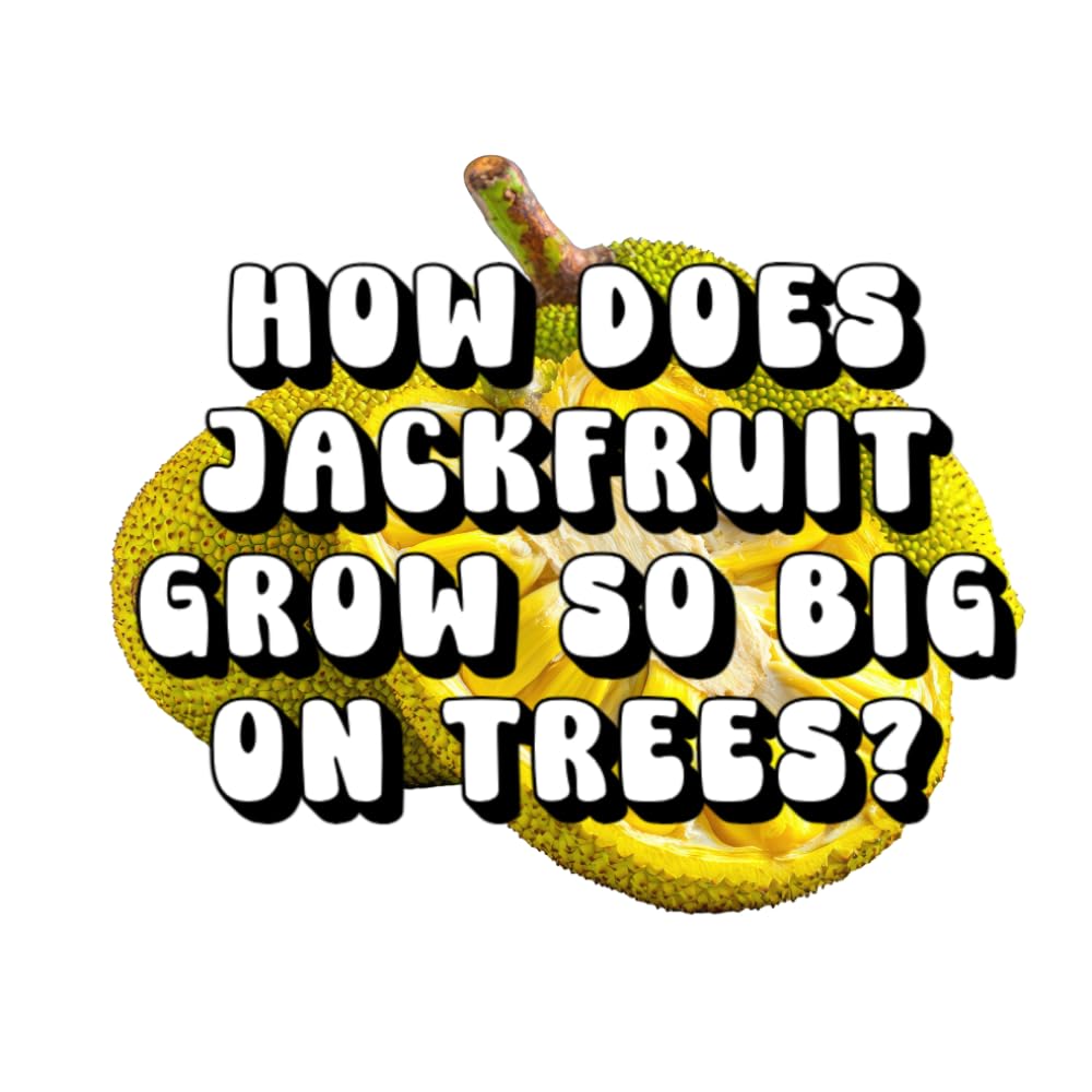 How Does Jackfruit Grow So Big on Trees?