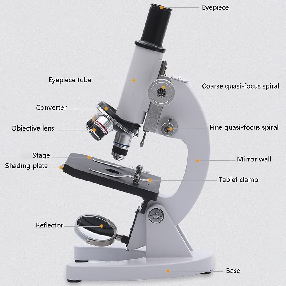 Microscopio per Laboratorio Microscopi composti Lente d'Ingrandimento 40X-4000X Microscopi trinoculari composti biologici per Studenti Principianti Laboratorio per Bambini