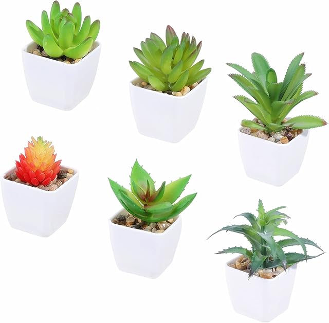 Tifuly 6 Pcs Artificial Potted Succulent Plants, Realistic Small Succulents Fake Greenery Mini Simulation Plant with Melamine White Pot for Home Office School Decoration (Combination 4)