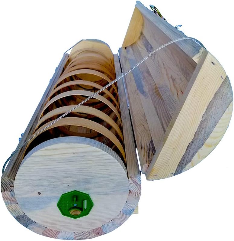 Best Top Bar Hives Reviewed In Detail