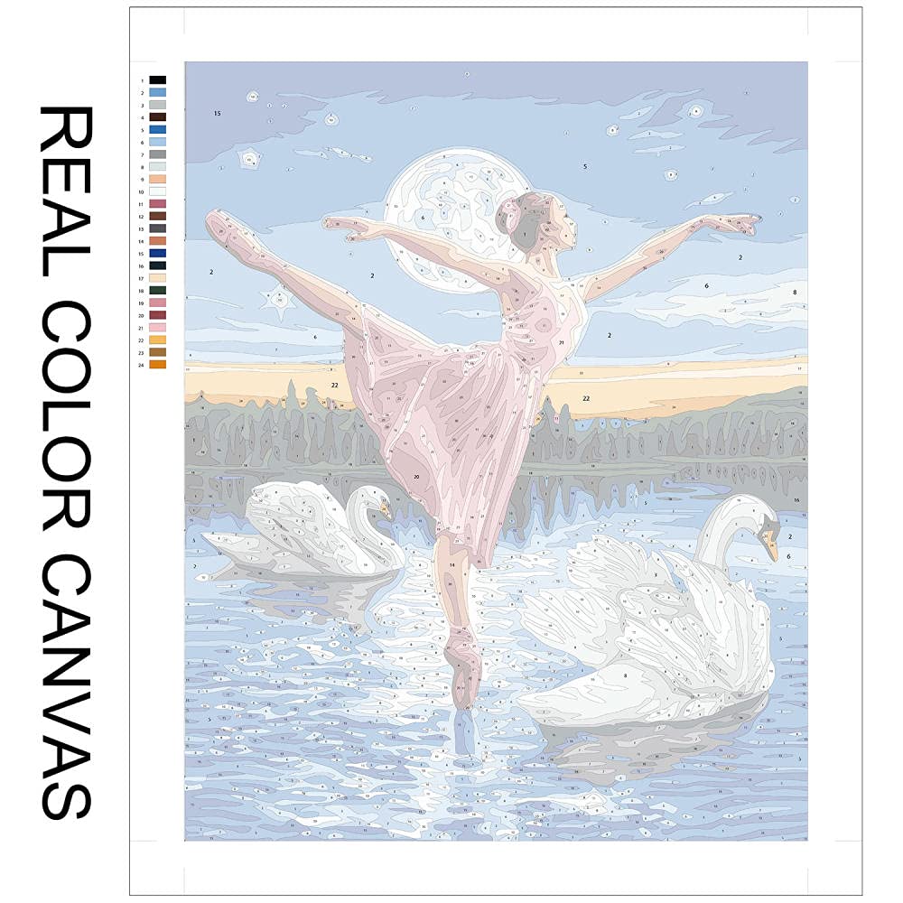 Amazon.co.jp: 数字によるDIY絵画バレエダンサーキャンバスに