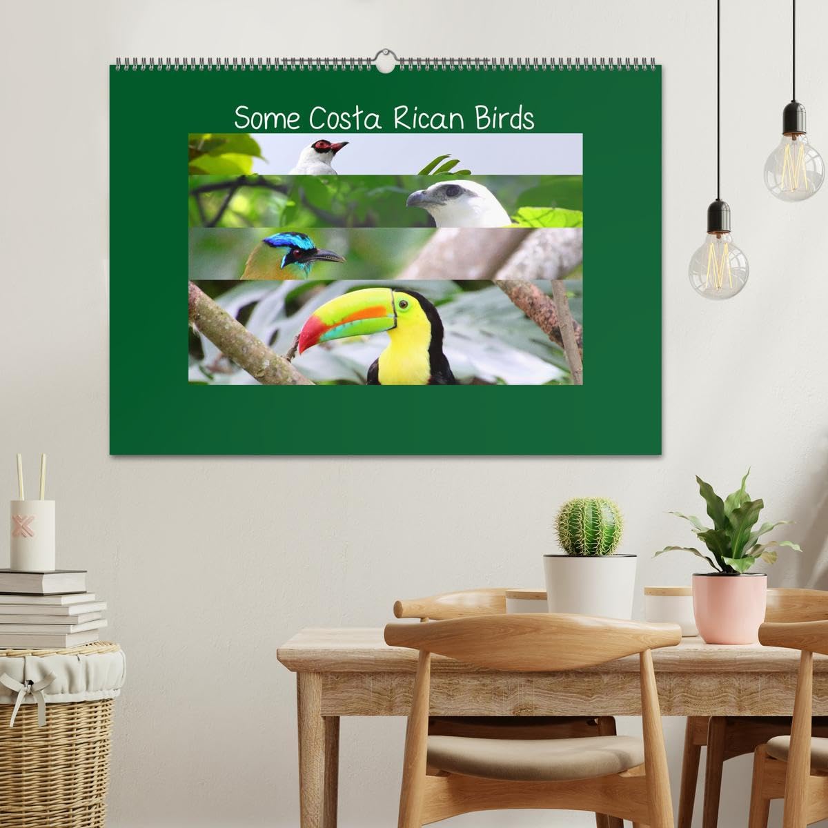 Some Costa Rican Birds (Wall Calendar 2027 DIN A2 landscape), CALVENDO 12 Month Wall Calendar: Enjoy a little of the great biodiversity you can find in Costa Rica