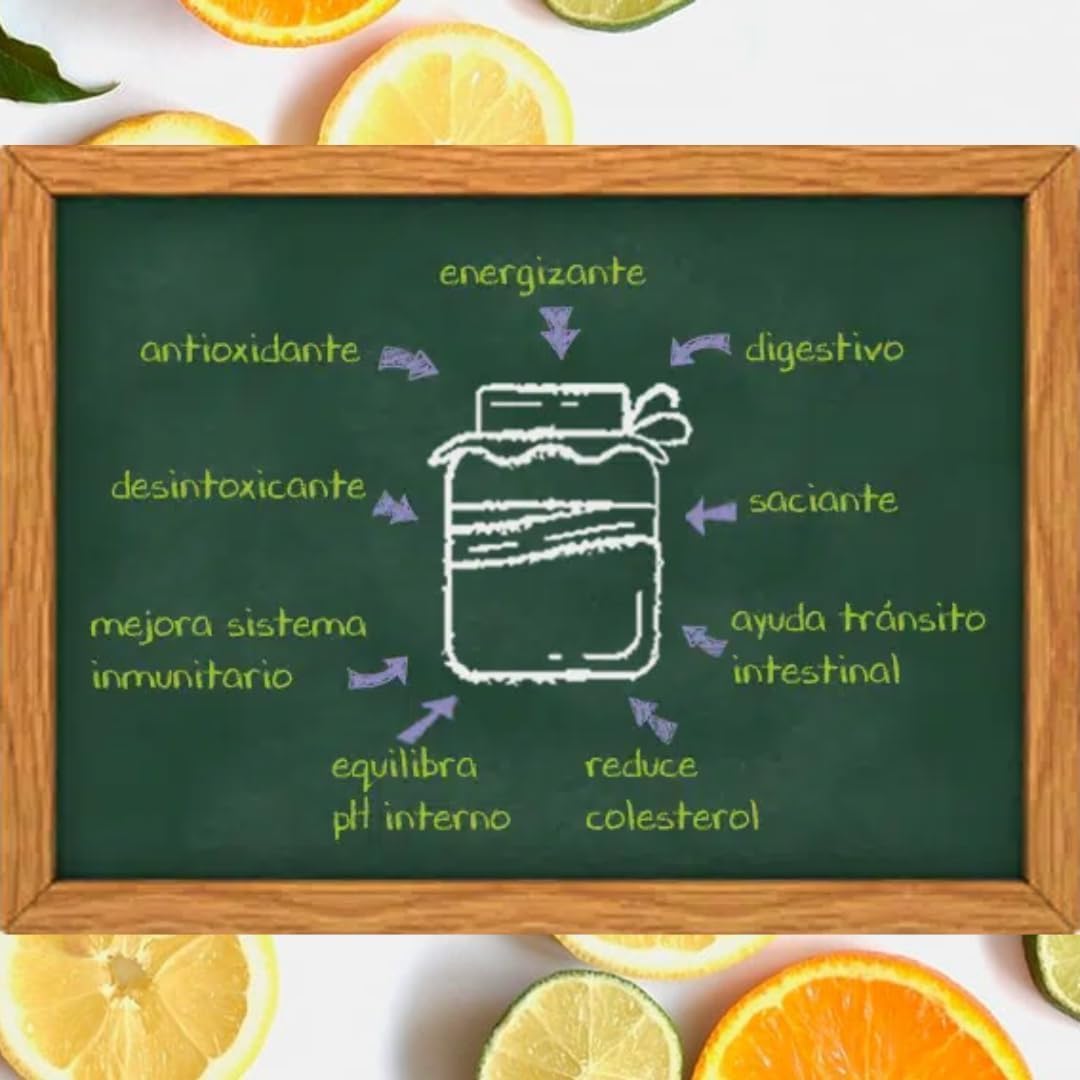 Kampanera - Pack Mix Kombucha 5 Estrellas -12 Botellas de 250 ml - Kombucha Natural - Bebida Fermentada - Té Verde y Negro - Sin Azúcar Añadida - Baja Carbonatación - Artesanal