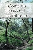  Come Un Sasso Nel Sottobosco