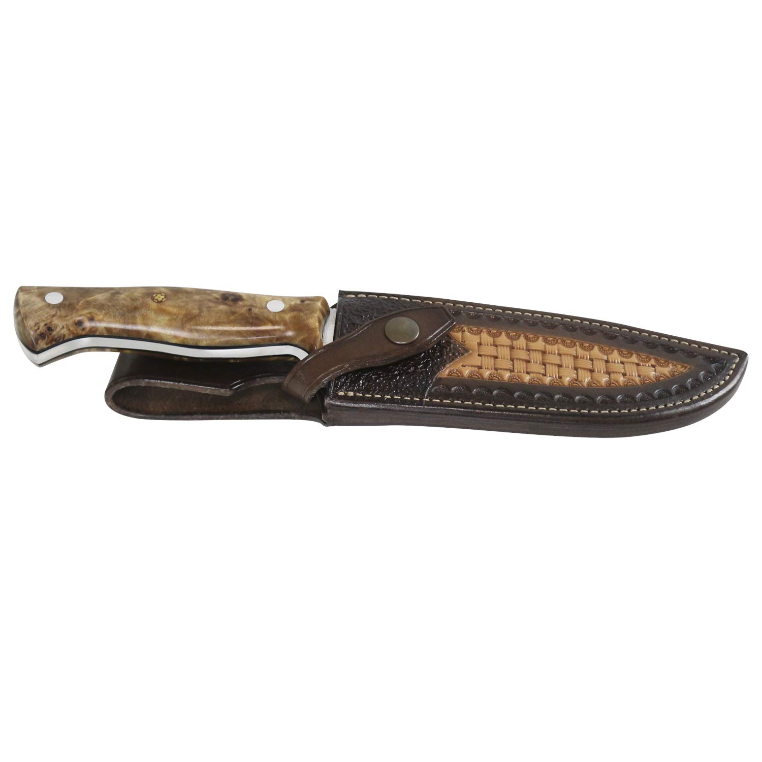 iFIELD EL29008 Coltello multifunzionale per escursioni, caccia e sopravvivenza all'aperto, manico in radice di pioppo in finitura lucida con distanziatore nero, fodero multiposizione
