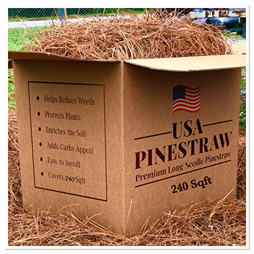Pine Straw Mulch - 14' Premium Long Needle - 240 Sqft - New Bigger Box (1)