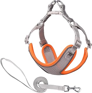 MAKASI Dog Harness No Pull with Leash Set, Reflective Pet Harness with Breathable Mesh Easy Control Front Clip for Small Medium Large Dogs (XX-Small, Grey)