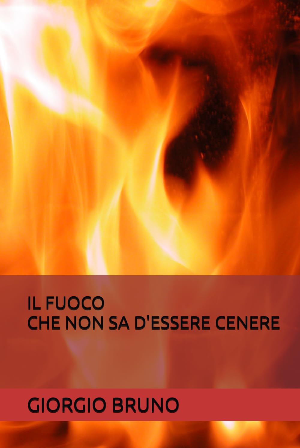IL FUOCO CHE NON SA D'ESSERE CENERE (Italian Edition)