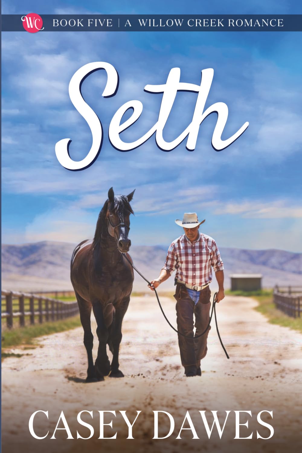 Seth: The Calhouns of Willow Creek Clean Western Midlife Romance (Willow Creek Romance)