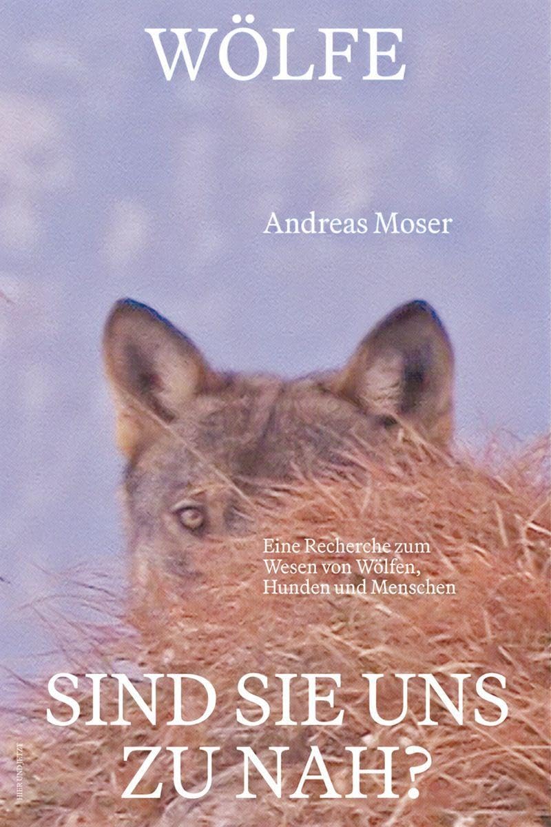 Wölfe - sind sie uns zu nah?: Eine Recherche zum Wesen von Wölfen, Hunden und Menschen
