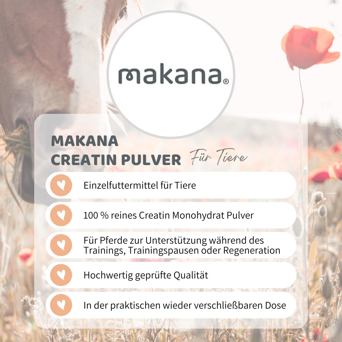Makana Creatina (creatina) en Polvo para Caballos, Lata de 1 kg